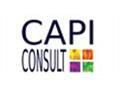 CAPI CONSULT: Un mois de juin exceptionnel